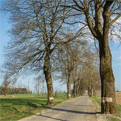 Fotogalerie